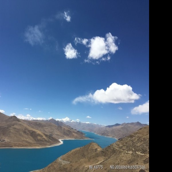 山南羊卓雍湖 - 图片1