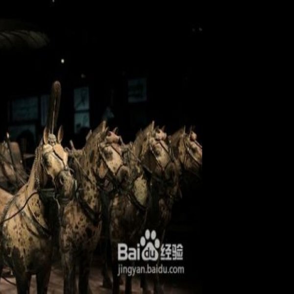 秦始皇兵马俑 - 图片3