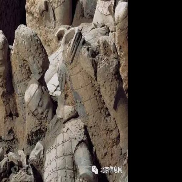 秦始皇兵马俑 - 图片5