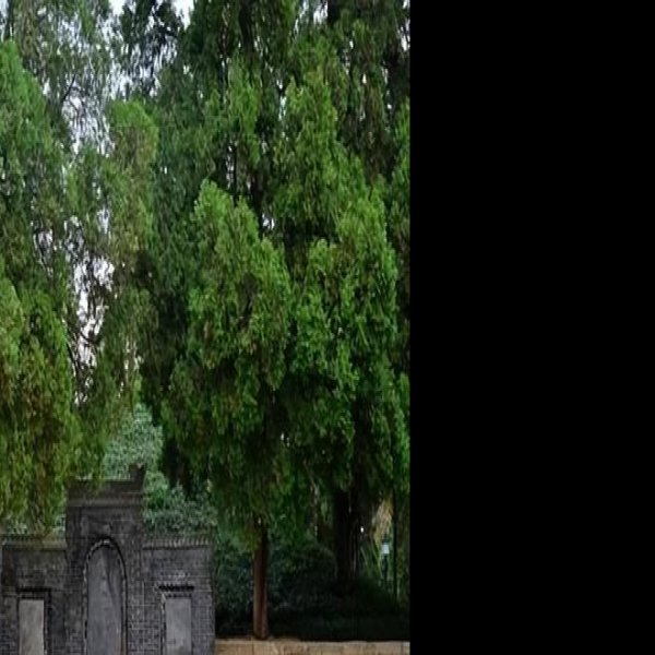 汉中张骞墓 - 图片9