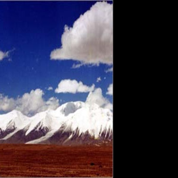 可可西里 - 图片1