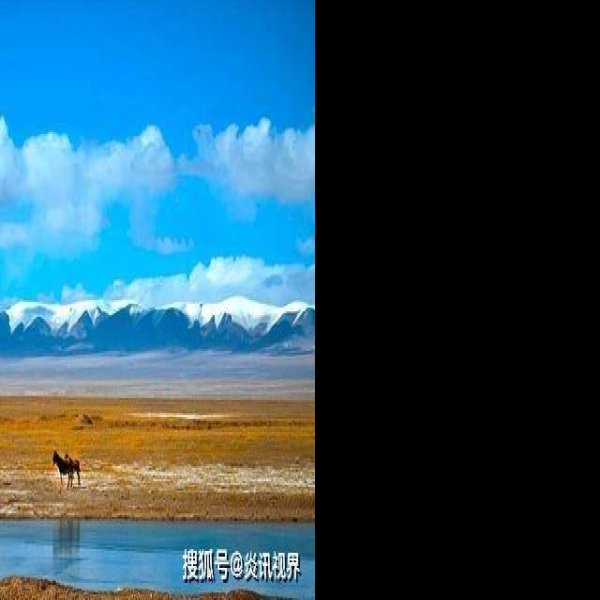 可可西里 - 图片6