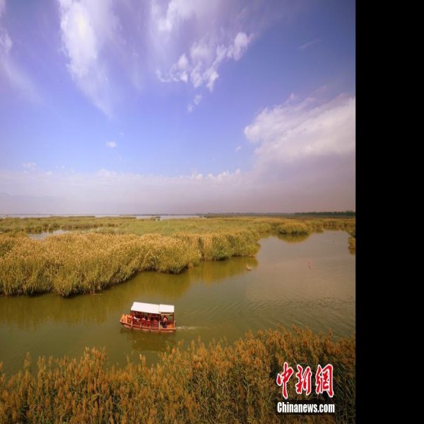 宁夏沙湖 - 图片7