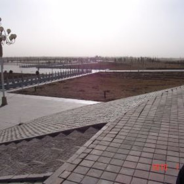 石嘴山石嘴子公园 - 图片5