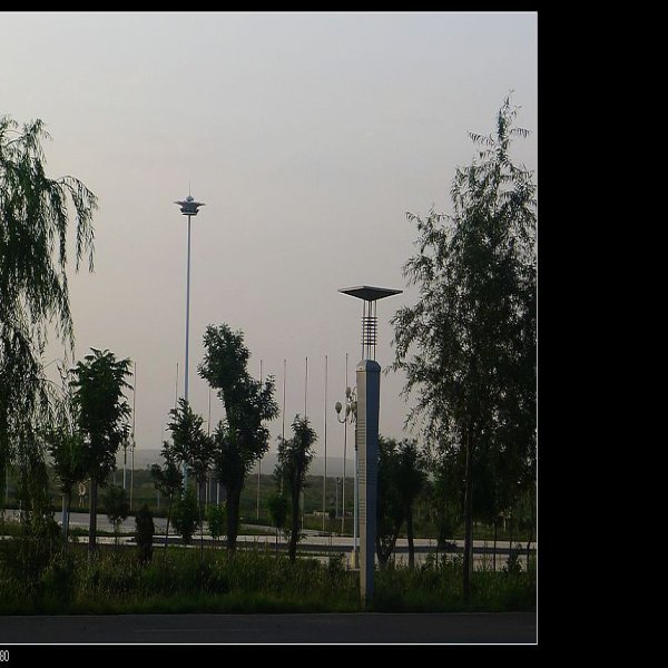 石嘴山石嘴子公园 - 图片7