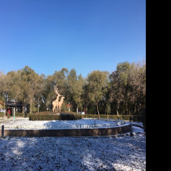 乌鲁木齐红山公园 - 图片9