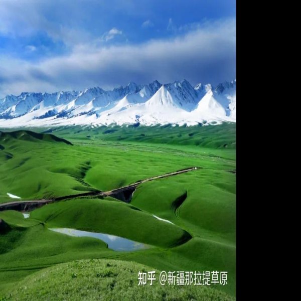 伊犁那拉提草原 - 图片7