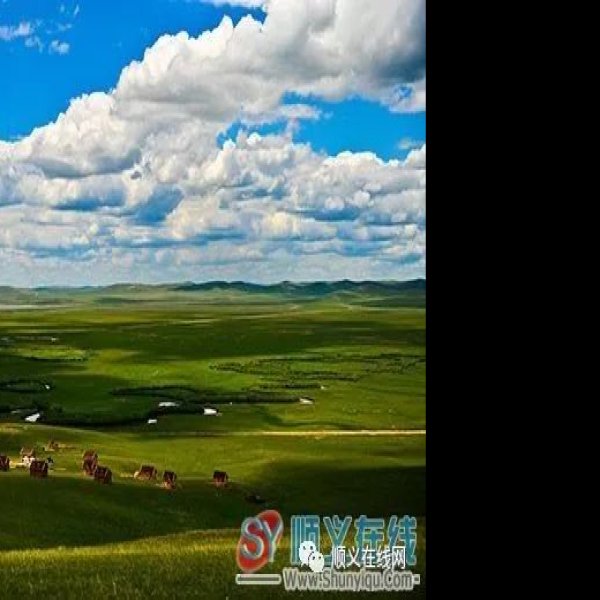 锡林郭勒大草原 - 图片4