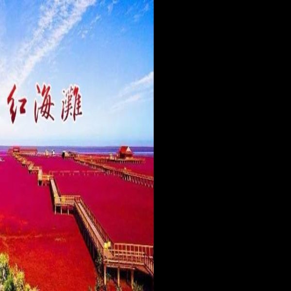 盘锦红海滩 - 图片9