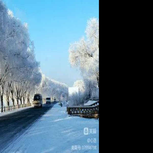 吉林雾凇 - 图片2