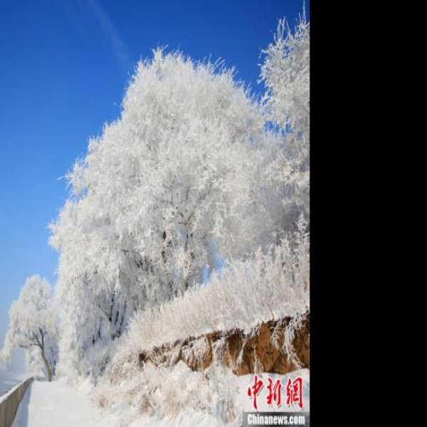 吉林雾凇 - 图片3
