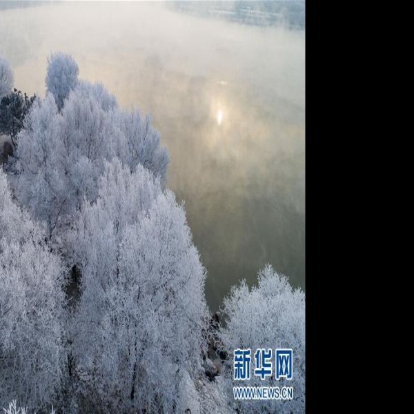 吉林雾凇 - 图片6