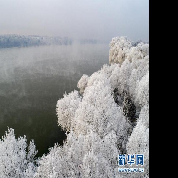 吉林雾凇 - 图片7