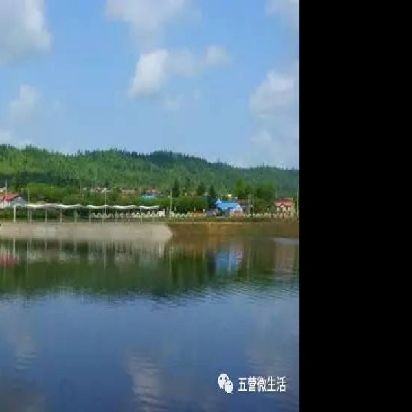 伊春五营国家森林公园 - 图片1