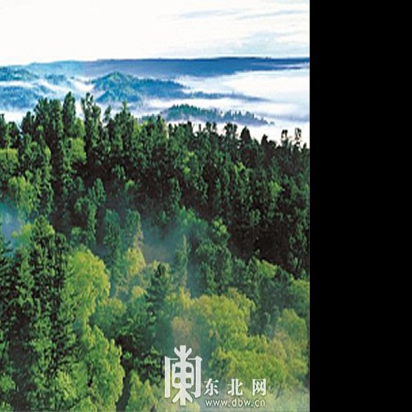 伊春五营国家森林公园 - 图片4