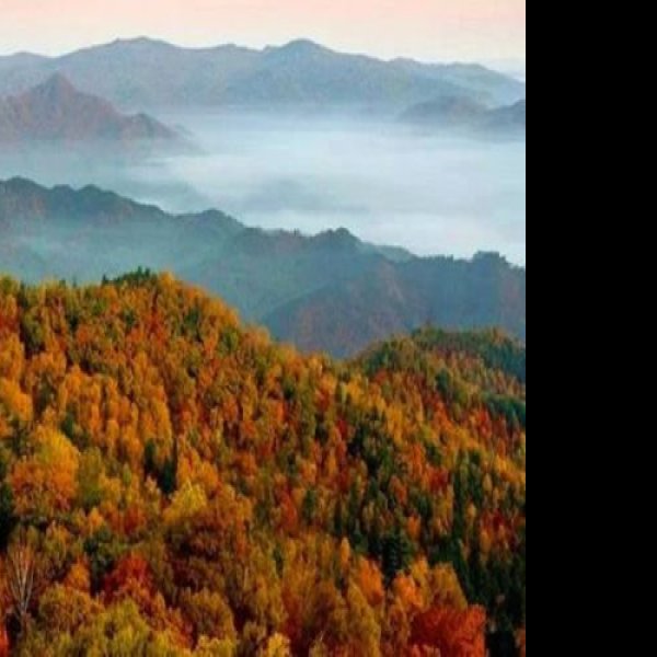伊春五营国家森林公园 - 图片5