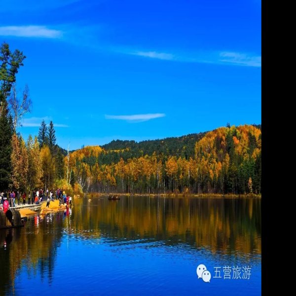 伊春五营国家森林公园 - 图片9