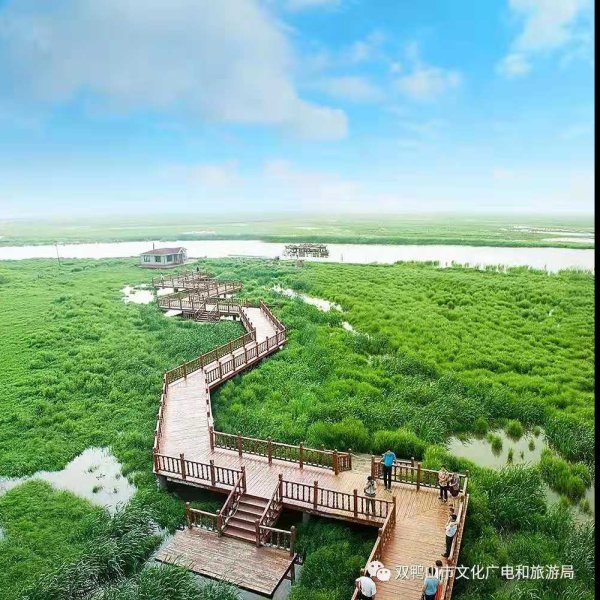 双鸭山雁窝岛 - 图片1