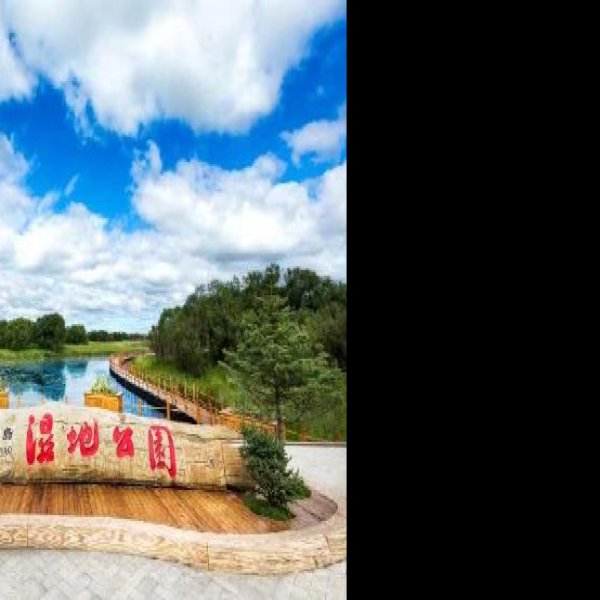 双鸭山雁窝岛 - 图片4