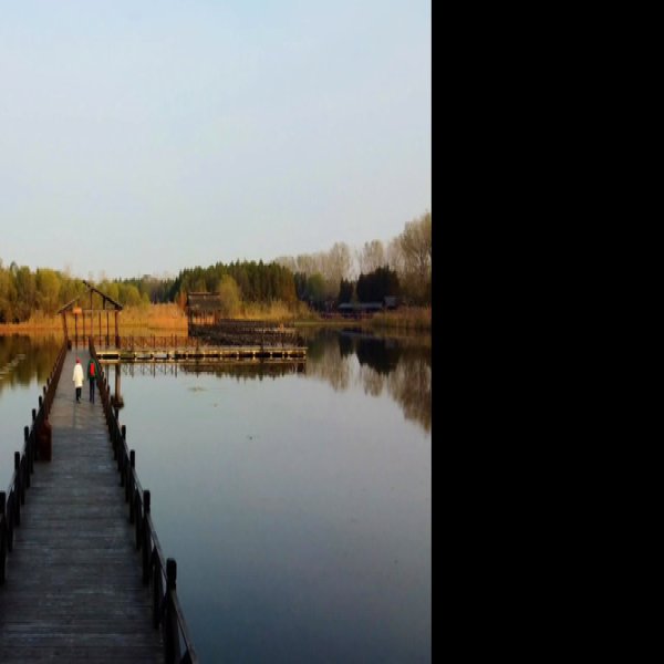 泰州溱湖国家湿地公园 - 图片2
