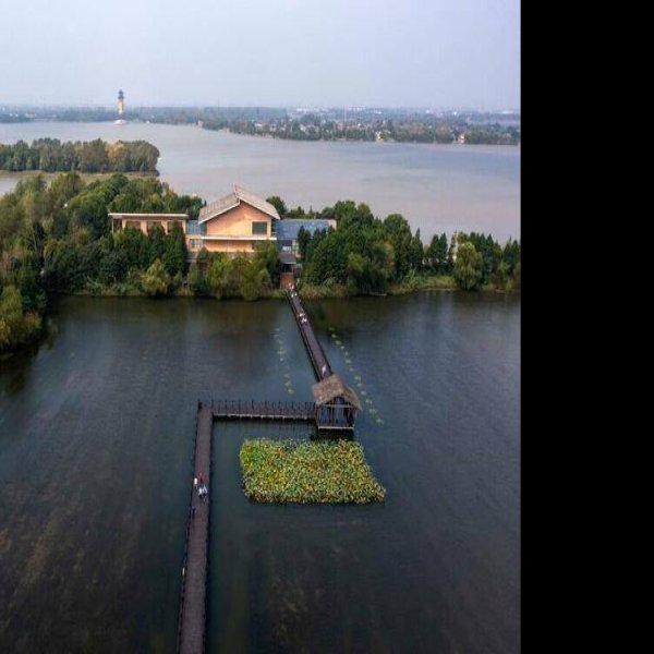 泰州溱湖国家湿地公园 - 图片3