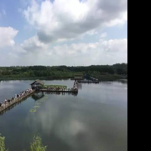 泰州溱湖国家湿地公园 - 图片6