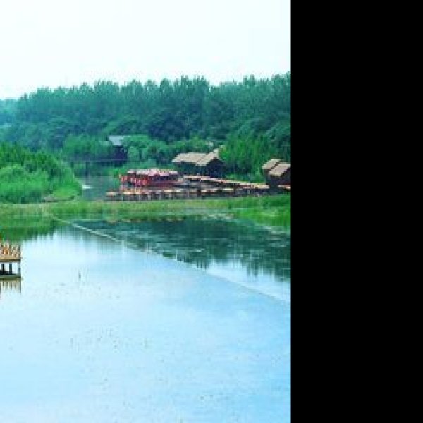 泰州溱湖国家湿地公园 - 图片7