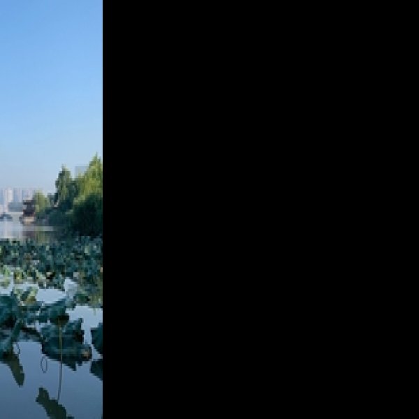 泰州溱湖国家湿地公园 - 图片9