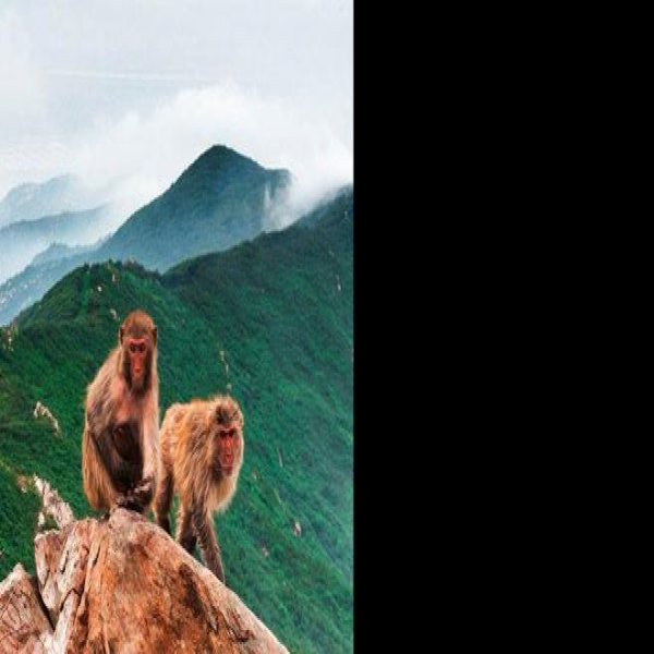 连云港花果山 - 图片4