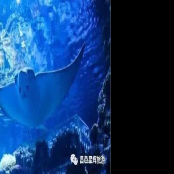烟台蓬莱海洋极地世界 - 图片1