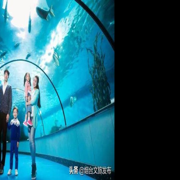烟台蓬莱海洋极地世界 - 图片3