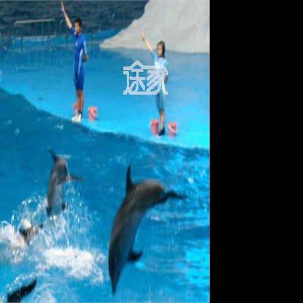 烟台蓬莱海洋极地世界 - 图片6