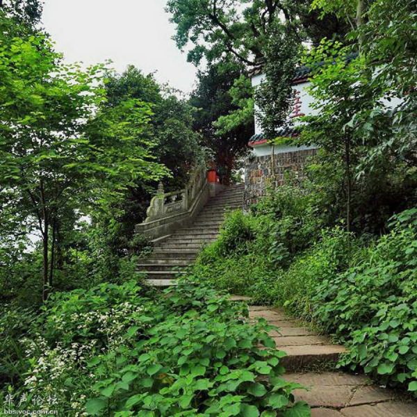 郴州苏仙岭 - 图片10