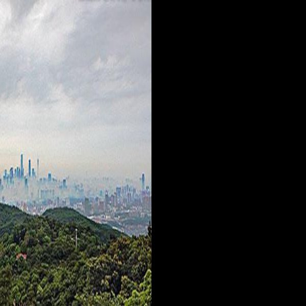 广州白云山 - 图片10