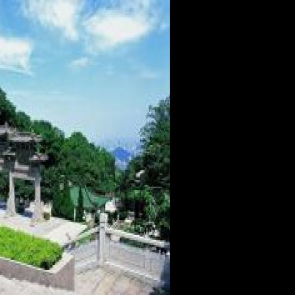 广州白云山 - 图片2