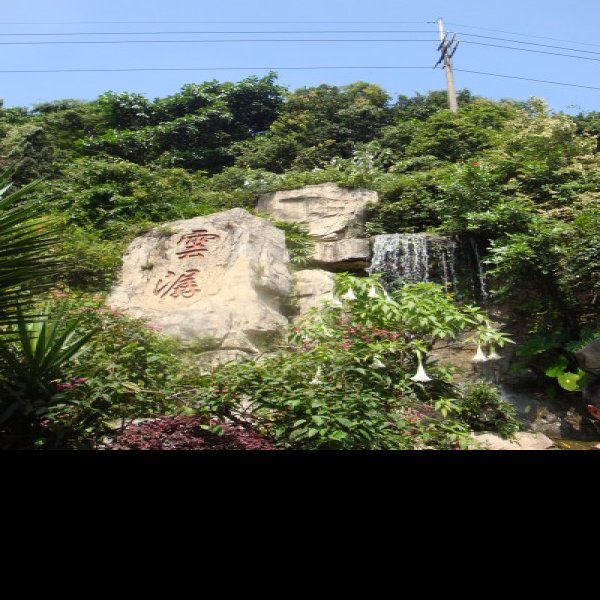 广州白云山 - 图片5