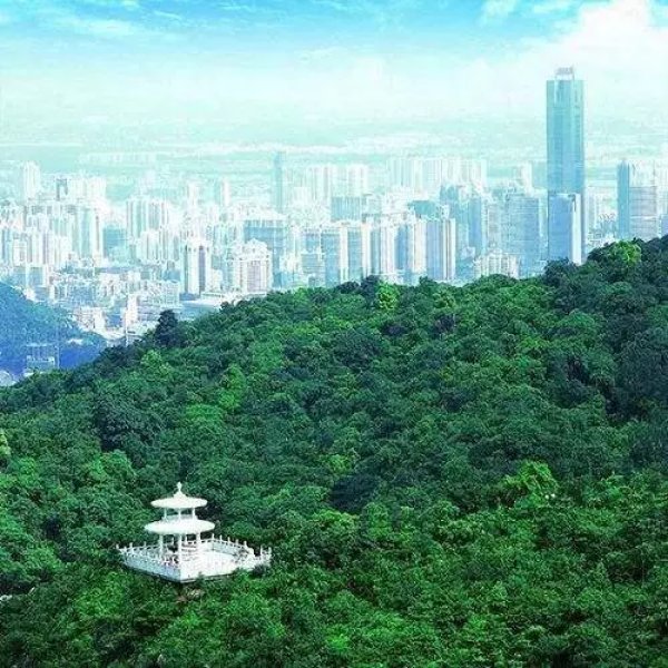 广州白云山 - 图片8
