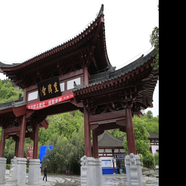 广元皇泽寺 - 图片1