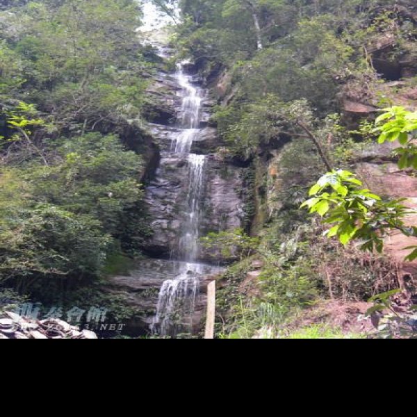 雅安碧峰峡 - 图片8