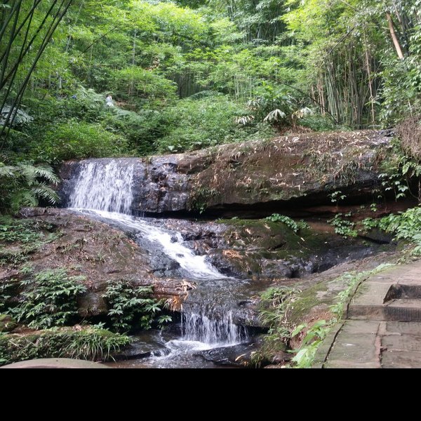 宜宾蜀南竹海博物馆 - 图片7