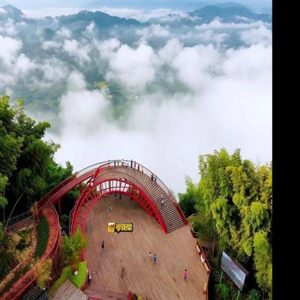 宜宾蜀南竹海博物馆 - 图片8