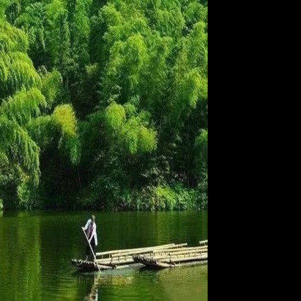 宜宾蜀南竹海博物馆 - 图片9