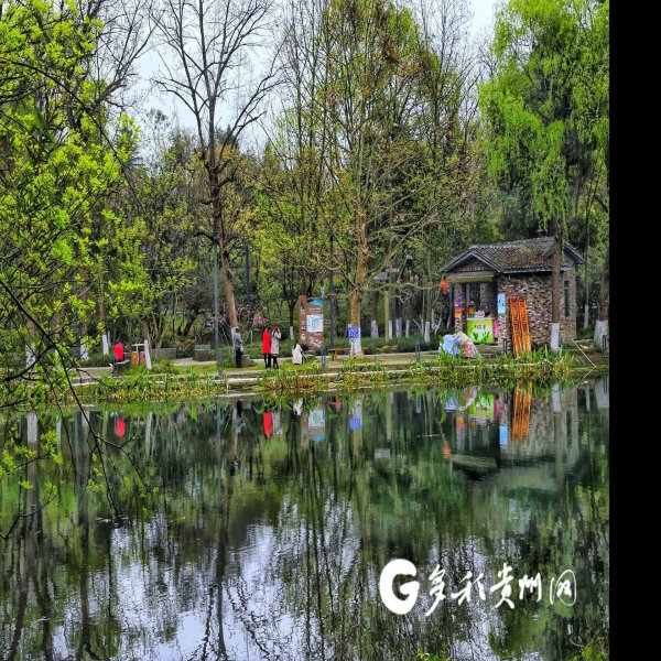 贵阳花溪公园 - 图片5