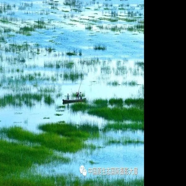 毕节草海 - 图片1