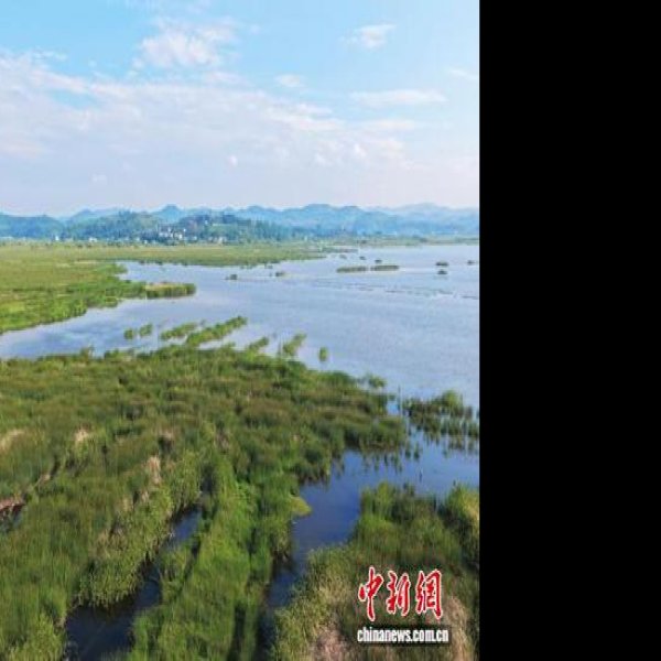 毕节草海 - 图片2
