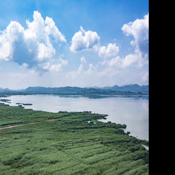 毕节草海 - 图片7