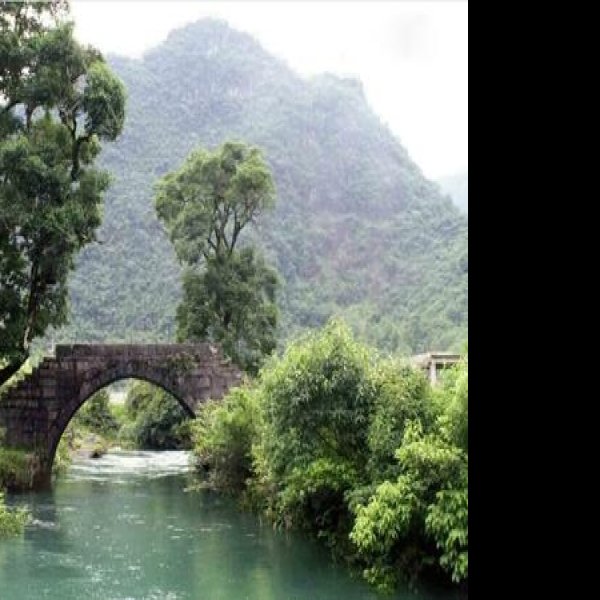 黔南茂兰国家级自然保护区 - 图片1