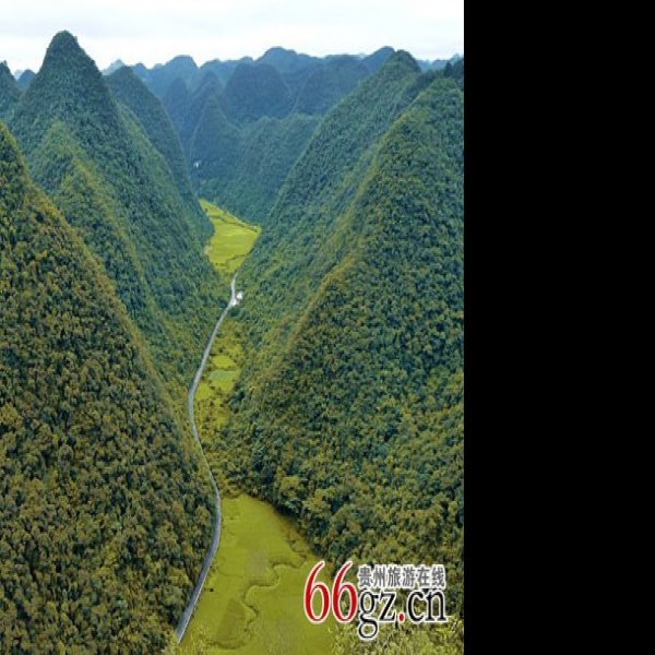 黔南茂兰国家级自然保护区 - 图片10