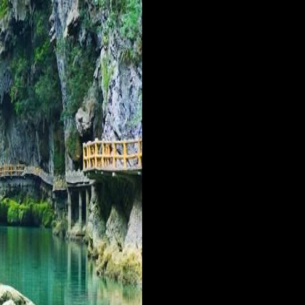 黔南茂兰国家级自然保护区 - 图片2