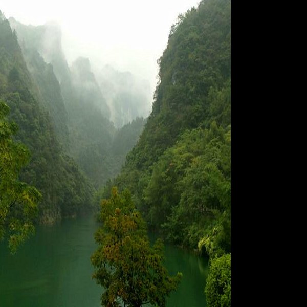 黔南茂兰国家级自然保护区 - 图片3